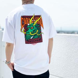 POWELL（パウエル） 全4色 パウエルペラルタ POWELL PERALTA Tシャツ