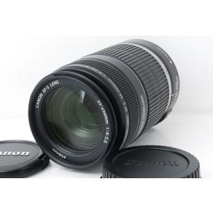 EF-S Canon キヤノン 55-250mm F4-5.6 IS 手ぶれ補正付き : 山ウサギ