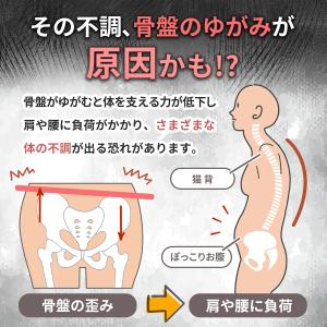 骨盤ベルト 腰痛ベルト コルセット 腰サポータ...の詳細画像2