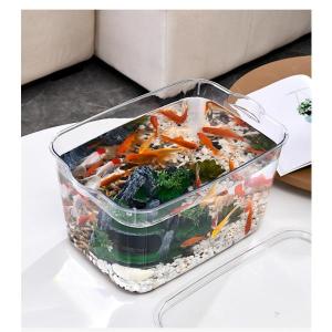 金魚鉢メダカ 透明 鉢水槽 小型水槽 飼育水槽...の詳細画像2