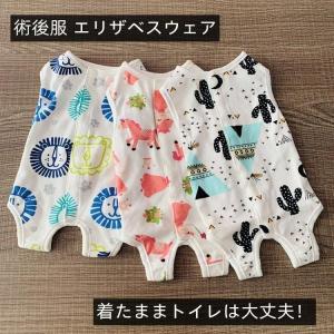 犬 術後服 エリザベスウェア エリザベスカラー 服 オス メス 去勢 小型