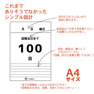 日めくり カレンダー ラストスパート 100日...の詳細画像2