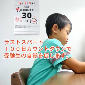 日めくり カレンダー ラストスパート 100日...の詳細画像3