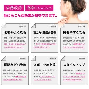 ヨガポール ハーフ 2本セット ショート ミニ...の詳細画像4