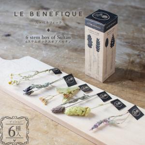 ハーブティー 6種入り お試し  ルベネフィック LE BENEFIQUE スルタン ソリマン 茶 オーガニック 植物由来 セット プレゼント ギフト