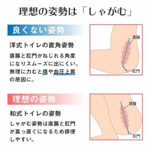 トイレ 踏み台 17cm/21cm 便秘 介護...の詳細画像3