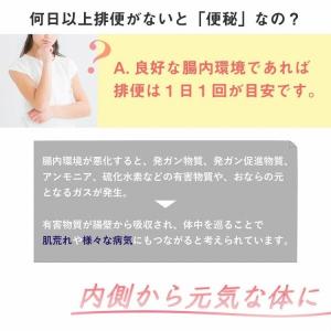 トイレ 踏み台 17cm/21cm 便秘 介護...の詳細画像4