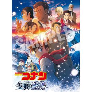 劇場版「名探偵コナン 隻眼の残像（フラッシュバック）」 (通常盤) (特典なし) [DVD]
