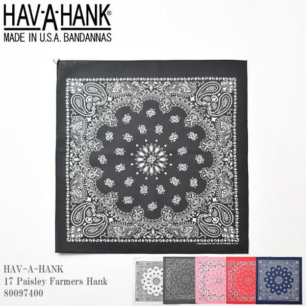 HAV-A-HANK  ハバハンク 17 Paisley Farmers Hank 80097400...