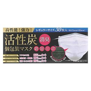 (PM2.5対応)強力活性炭フィルター 活性炭マスク30枚入