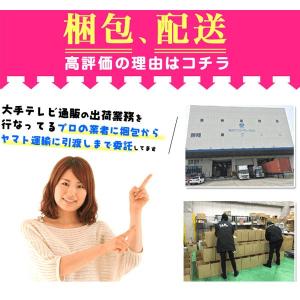 暖話室1000型 暖房器具 遠赤外線ヒーター ...の詳細画像5