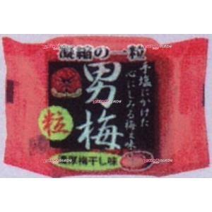 男梅 粒の商品一覧 通販 Yahoo ショッピング