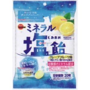 YCxブルボン　９４Ｇ ミネラル塩飴×48個【x】【送料無料（沖縄は別途送料）】