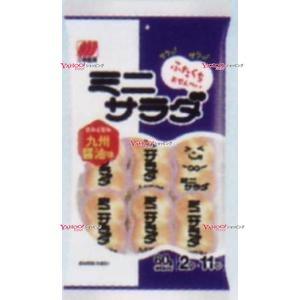 YCx三幸製菓　６０Ｇ ミニサラダ九州醤油味×16個【x】【送料無料（沖縄は別途送料）】｜mrokkuni