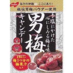 YCxノーベル製菓　８０Ｇ 男梅×48個【x】【送料無料（沖縄は別途送料）】