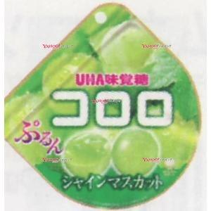 YCxユーハ味覚糖　４８Ｇ コロロマスカット×72個【x】【送料無料（沖縄は別途送料）】