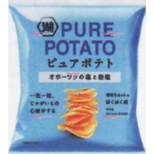 OExコイケヤ　５５Ｇ ピュアポテトオホーツクの塩と岩塩×24個【xw】【送料無料（沖縄は別途送料）...