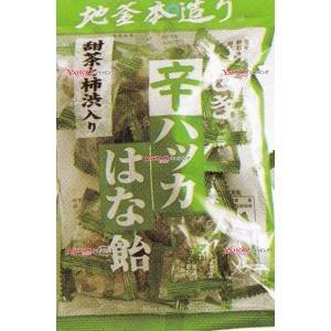 OEx井関食品　１００Ｇ 甜茶柿渋入はな飴×10個【xeco】【エコ配 送料無料 （沖縄 不可）】