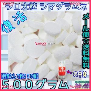 OEおかし企画　OE石井　５００グラム 　 島田製菓　復活