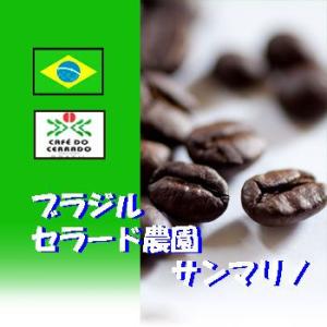 ブラジル　セラード「サンマリノ」　半額セール　1kgから　