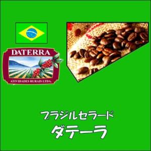 ブラジル　ダテーラ農園　500g　送料無料！
