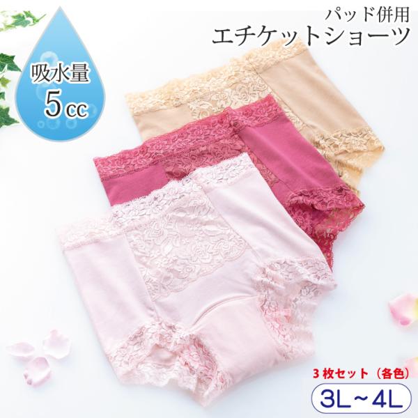 失禁ショーツ 女性用 尿漏れパンツ 吸水 防水 失禁パンツ 5cc おしゃれ かわいい 締め付けない...