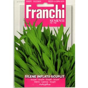 【イタリアの野菜の種】FRANCHI社　ストリドーロ120/50