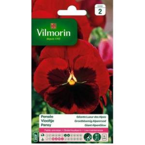 【フランスの花の種子】Vilmorin社　エディブルフラワー・パンジー(赤) Giant AlpenGlow【固定種】[V-203F]｜mrsliving