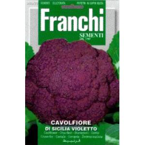 【イタリアの野菜の種】FRANCHI社　カリフラワー・ バイオレットシチリア　DI SICILIA VIOLETTO　FRANCHI社［30/29］
