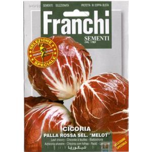 【イタリアの野菜の種】FRANCHI社　スペシャルセレクション　チコリー・赤みボール型　PALLA ROSSA SEL."MELOT"｜mrsliving