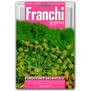 【イタリアのハーブの種】FRANCHI社 ワイル...の商品画像