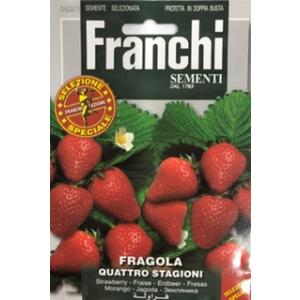【イタリアの果菜の種】FRANCHI社　イチゴ　四季なりいちご　63/1　手ごろサイズの真っ赤な苺　ストロベリー｜mrsliving