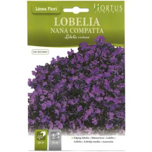【イタリアの草花の種】Hortus社　ロベリア[COD.BGFLOB001] 濃い紫のロベリア｜mrsliving