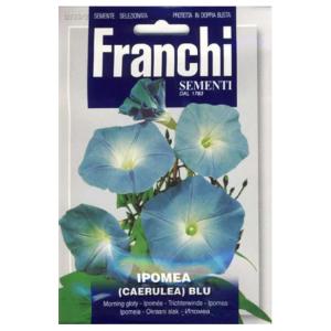 【イタリアの花の種】FRANCHI社　ヘブンリーブルー　イタリアの朝顔333/2　美しい緑のカーテン