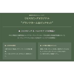 【プランツネーム】ミセスリビングオリジナル プ...の詳細画像3