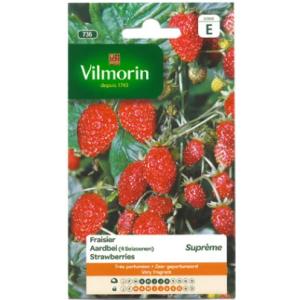 【フランスの果菜の種】Vilmorin社　四季なりイチゴDES4　SAISONS・Supremeストロベリー【V-736】いちごのタネ