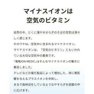 滝風イオンメディック TAKI ION MED...の詳細画像2