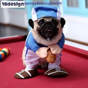 猫 コスプレ 二足歩行の商品一覧 通販 Yahoo ショッピング