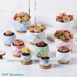 植木鉢 多肉植物鉢 サボテン鉢 陶器製 マーブル模様 ダイヤモンド形 底穴付き 竹製トレー付き サボテン おしゃれ マーブル プランター ミニ植物 インテリア 家