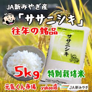 令和5年産　ササニシキ　宮城県産　５Kg　特別栽培米（減農薬・減化学肥料）　ささにしき　　送料無料（一部地域を除く）｜ms-genki
