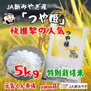 令和5年産　通販　つや姫　宮城県産　５kg　特別栽培米（減農薬・減化学肥料）　つやひめ　精米　送料無料（一部地域を除く）｜ms-genki