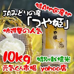 29年産 新米 米 通販 つや姫 宮城県産 10kg 特A地...