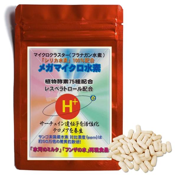 メガマイクロ水素（370mg×90粒入）