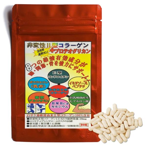 非変性2型コラーゲン10000（370mg×90粒入）