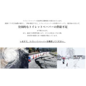 10年保存ができるトイレットペーパー 200m...の詳細画像1