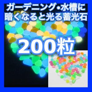 夜光石 発光石 光る石 蓄光石 カラフル 200個 庭園
