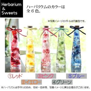 スイーツ&ハーバリウムセット【レッド】ハーバリ...の詳細画像2