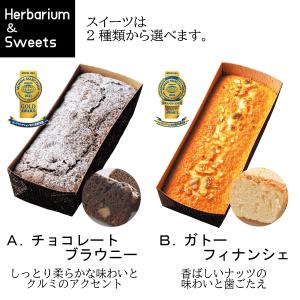 スイーツ&ハーバリウムセット【レッド】ハーバリ...の詳細画像4