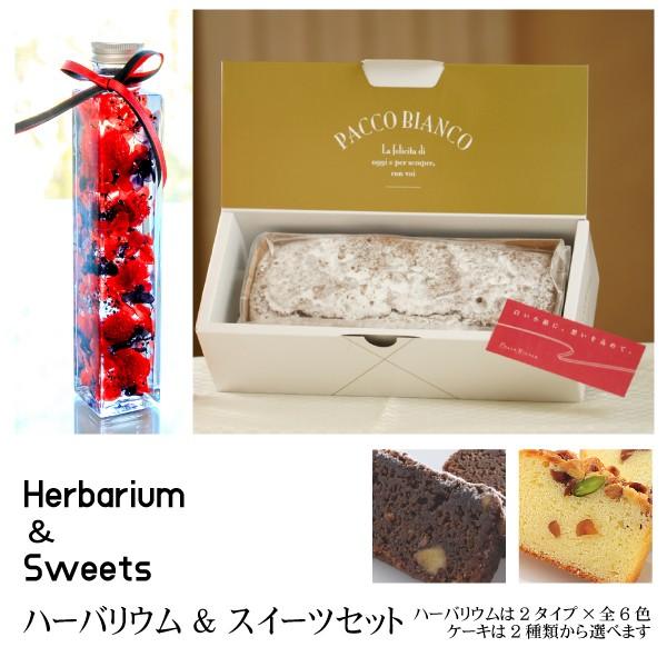 スイーツ＆ハーバリウムセット【赤×黒MIX】ハーバリウムとパウンドケーキ 全6色12種 パウンドケー...