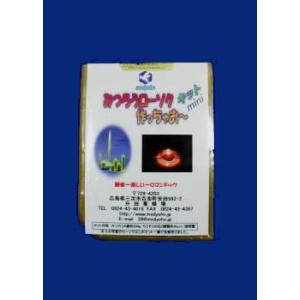 みつろうローソクつくっちゃお〜キットミニ